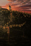 King Estate Sunset (c)2012 by Craig Erickson
