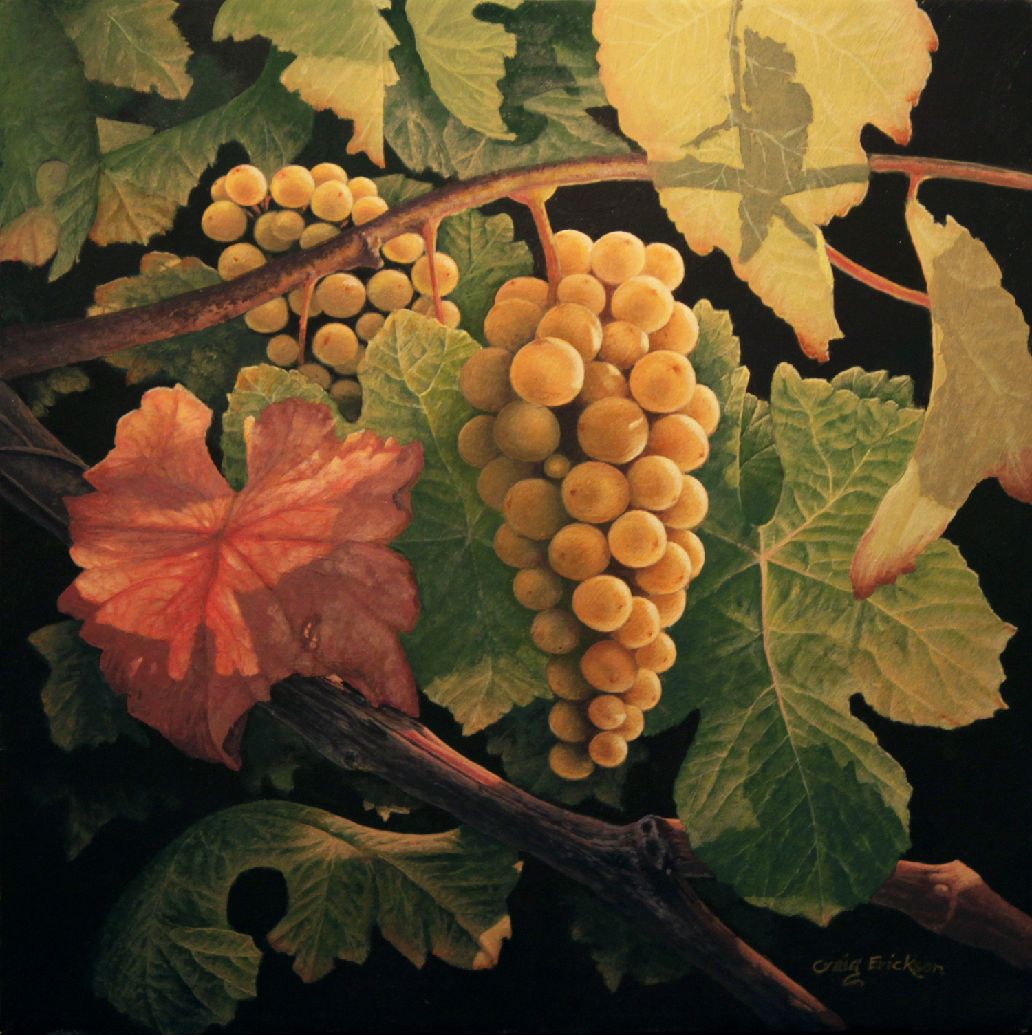 Pinot Blanc Deuxieme (c)2015 by Craig Erickson